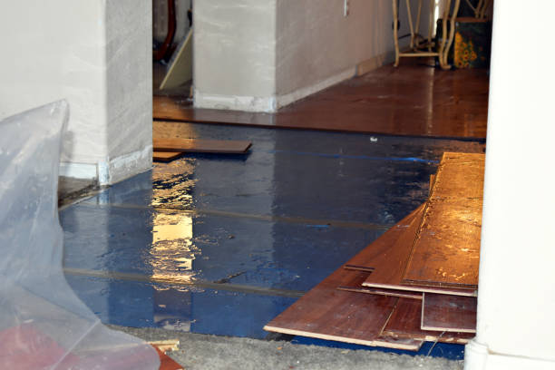 Professional Basement Water Removal technician working in Okarche, OK